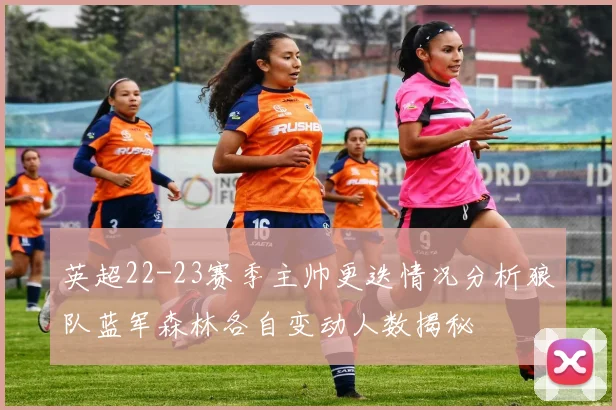 英超22-23赛季主帅更迭情况分析狼队蓝军森林各自变动人数揭秘
